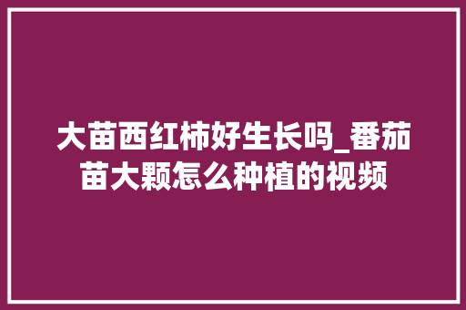 大苗西红柿好生长吗_番茄苗大颗怎么种植的视频 大苗西红柿好生长吗_番茄苗大颗怎么种植的视频 种植技巧