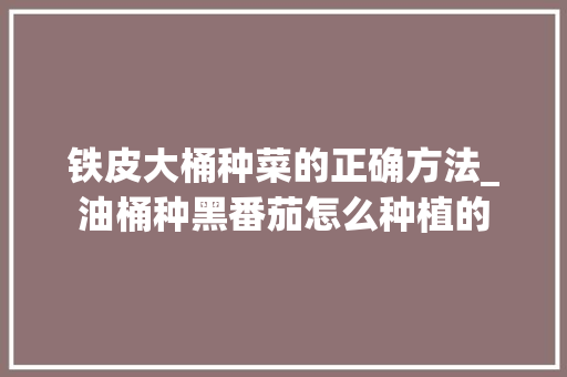 铁皮大桶种菜的正确方法_油桶种黑番茄怎么种植的 铁皮大桶种菜的正确方法_油桶种黑番茄怎么种植的 植物种类