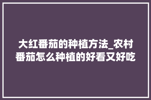 大红番茄的种植方法_农村番茄怎么种植的好看又好吃 大红番茄的种植方法_农村番茄怎么种植的好看又好吃 土壤施肥