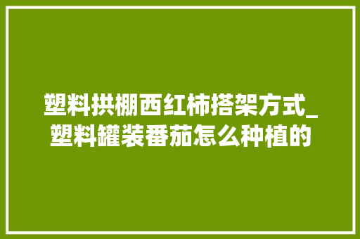 塑料拱棚西红柿搭架方式_塑料罐装番茄怎么种植的 塑料拱棚西红柿搭架方式_塑料罐装番茄怎么种植的 种植技巧
