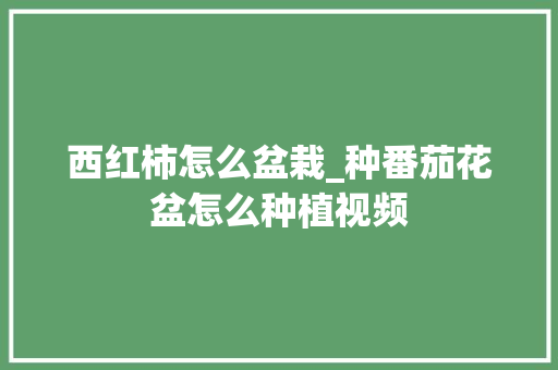 西红柿怎么盆栽_种番茄花盆怎么种植视频 西红柿怎么盆栽_种番茄花盆怎么种植视频 植物种类