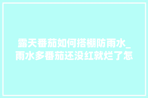 露天番茄如何搭棚防雨水_雨水多番茄还没红就烂了怎么办呢? 露天番茄如何搭棚防雨水_雨水多番茄还没红就烂了怎么办呢? 种植技巧