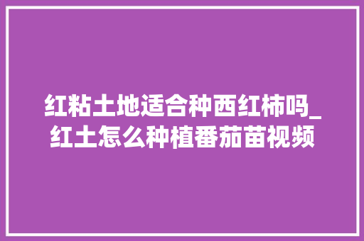 红粘土地适合种西红柿吗_红土怎么种植番茄苗视频