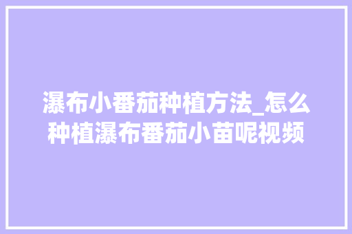 瀑布小番茄种植方法_怎么种植瀑布番茄小苗呢视频 瀑布小番茄种植方法_怎么种植瀑布番茄小苗呢视频 土壤施肥