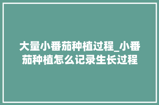大量小番茄种植过程_小番茄种植怎么记录生长过程 大量小番茄种植过程_小番茄种植怎么记录生长过程 植物种类