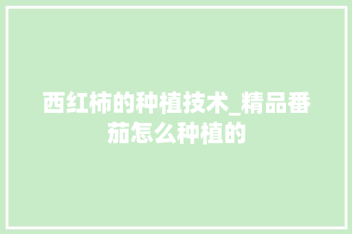 西红柿的种植技术_精品番茄怎么种植的 西红柿的种植技术_精品番茄怎么种植的 番茄种植技巧