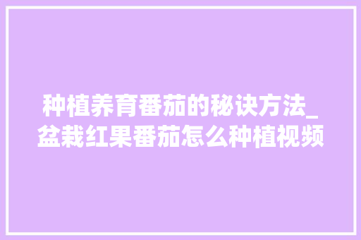 种植养育番茄的秘诀方法_盆栽红果番茄怎么种植视频