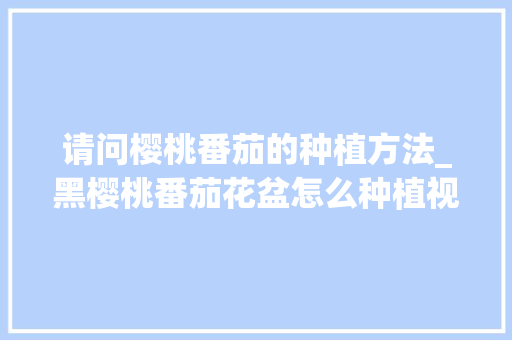 请问樱桃番茄的种植方法_黑樱桃番茄花盆怎么种植视频 请问樱桃番茄的种植方法_黑樱桃番茄花盆怎么种植视频 番茄病虫害防治