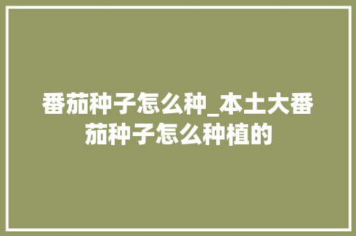 番茄种子怎么种_本土大番茄种子怎么种植的 番茄种子怎么种_本土大番茄种子怎么种植的 番茄种植技巧