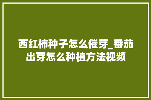 西红柿种子怎么催芽_番茄出芽怎么种植方法视频 西红柿种子怎么催芽_番茄出芽怎么种植方法视频 番茄病虫害防治