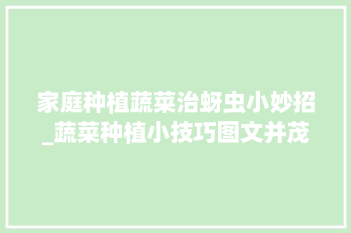 家庭种植蔬菜治蚜虫小妙招_蔬菜种植小技巧图文并茂 家庭种植蔬菜治蚜虫小妙招_蔬菜种植小技巧图文并茂 番茄种植技巧