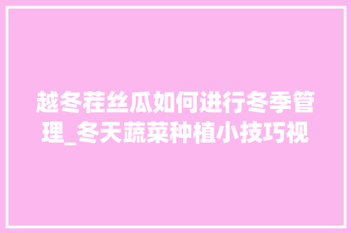 越冬茬丝瓜如何进行冬季管理_冬天蔬菜种植小技巧视频教程