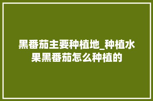 黑番茄主要种植地_种植水果黑番茄怎么种植的 黑番茄主要种植地_种植水果黑番茄怎么种植的 种植技巧