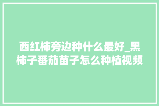 西红柿旁边种什么最好_黑柿子番茄苗子怎么种植视频 西红柿旁边种什么最好_黑柿子番茄苗子怎么种植视频 番茄病虫害防治