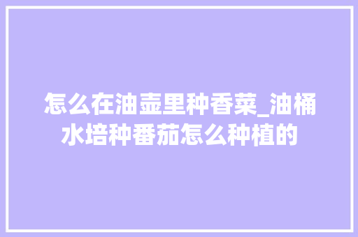 怎么在油壶里种香菜_油桶水培种番茄怎么种植的 怎么在油壶里种香菜_油桶水培种番茄怎么种植的 花朵知识