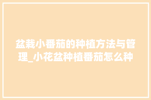 盆栽小番茄的种植方法与管理_小花盆种植番茄怎么种植 盆栽小番茄的种植方法与管理_小花盆种植番茄怎么种植 植物种类