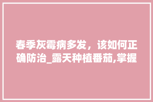 春季灰霉病多发，该如何正确防治_露天种植番茄,掌握2个技巧,番茄多的压断枝 春季灰霉病多发，该如何正确防治_露天种植番茄,掌握2个技巧,番茄多的压断枝 种植技巧