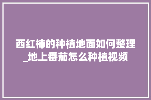 西红柿的种植地面如何整理_地上番茄怎么种植视频 西红柿的种植地面如何整理_地上番茄怎么种植视频 土壤施肥