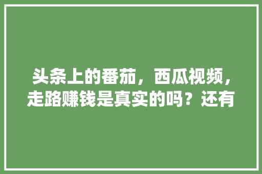 头条上的番茄，西瓜视频，走路赚钱是真实的吗？还有拼多多_大粉番茄品种 头条上的番茄，西瓜视频，走路赚钱是真实的吗？还有拼多多_大粉番茄品种 番茄病虫害防治