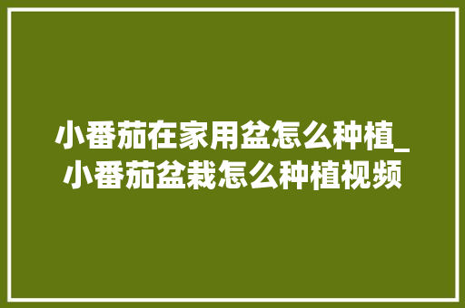 小番茄在家用盆怎么种植_小番茄盆栽怎么种植视频 花朵知识 小番茄在家用盆怎么种植_小番茄盆栽怎么种植视频 小番茄在家用盆怎么种植_小番茄盆栽怎么种植视频 花朵知识