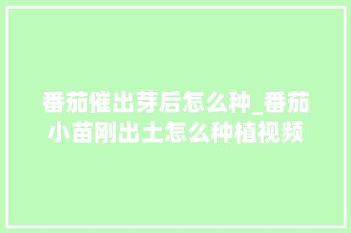 番茄催出芽后怎么种_番茄小苗刚出土怎么种植视频 番茄催出芽后怎么种_番茄小苗刚出土怎么种植视频 花朵知识