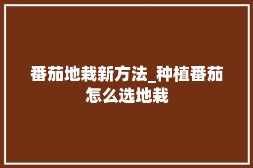 番茄地栽新方法_种植番茄怎么选地栽 番茄地栽新方法_种植番茄怎么选地栽 种植技巧