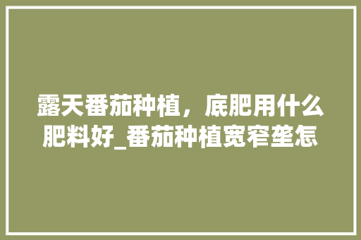 露天番茄种植，底肥用什么肥料好_番茄种植宽窄垄怎么安排的
