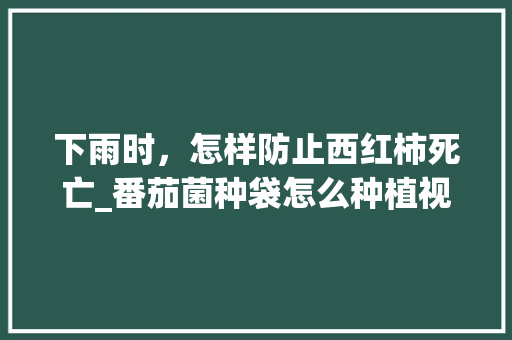 下雨时，怎样防止西红柿死亡_番茄菌种袋怎么种植视频 下雨时，怎样防止西红柿死亡_番茄菌种袋怎么种植视频 番茄种植技巧