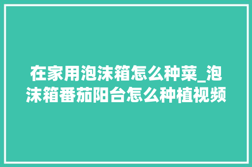 在家用泡沫箱怎么种菜_泡沫箱番茄阳台怎么种植视频