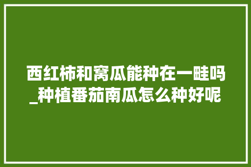 西红柿和窝瓜能种在一畦吗_种植番茄南瓜怎么种好呢视频 西红柿和窝瓜能种在一畦吗_种植番茄南瓜怎么种好呢视频 番茄病虫害防治