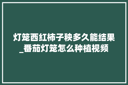 灯笼西红柿子秧多久能结果_番茄灯笼怎么种植视频 灯笼西红柿子秧多久能结果_番茄灯笼怎么种植视频 番茄病虫害防治