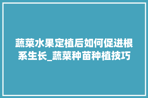 蔬菜水果定植后如何促进根系生长_蔬菜种苗种植技巧和方法 蔬菜水果定植后如何促进根系生长_蔬菜种苗种植技巧和方法 番茄种植技巧