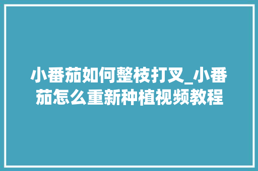 小番茄如何整枝打叉_小番茄怎么重新种植视频教程 小番茄如何整枝打叉_小番茄怎么重新种植视频教程 农业常识