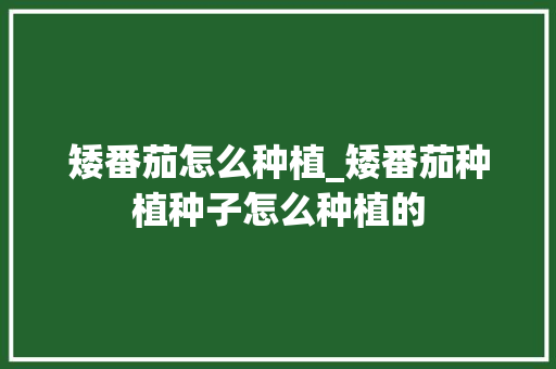 矮番茄怎么种植_矮番茄种植种子怎么种植的 矮番茄怎么种植_矮番茄种植种子怎么种植的 土壤施肥
