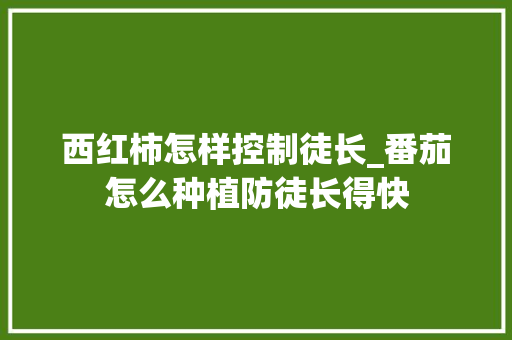 西红柿怎样控制徒长_番茄怎么种植防徒长得快