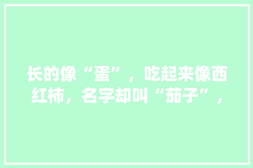 长的像“蛋”，吃起来像西红柿，名字却叫“茄子”，这种蔬菜咋那么奇怪？如何种植呢_茄子蔬菜种植技巧与方法视频