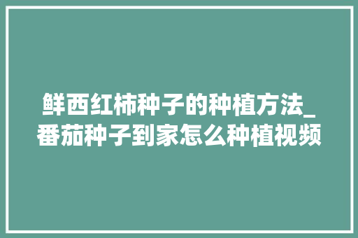 鲜西红柿种子的种植方法_番茄种子到家怎么种植视频 鲜西红柿种子的种植方法_番茄种子到家怎么种植视频 土壤施肥