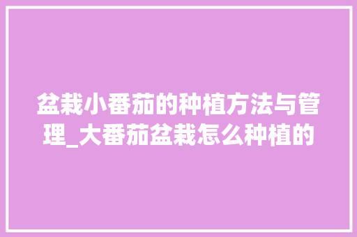 盆栽小番茄的种植方法与管理_大番茄盆栽怎么种植的视频 盆栽小番茄的种植方法与管理_大番茄盆栽怎么种植的视频 土壤施肥