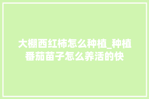 大棚西红柿怎么种植_种植番茄苗子怎么养活的快