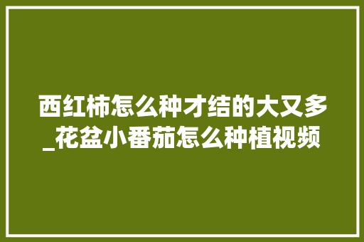 西红柿怎么种才结的大又多_花盆小番茄怎么种植视频教程 西红柿怎么种才结的大又多_花盆小番茄怎么种植视频教程 植物种类