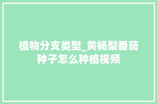 植物分支类型_黄杨梨番茄种子怎么种植视频 植物分支类型_黄杨梨番茄种子怎么种植视频 土壤施肥