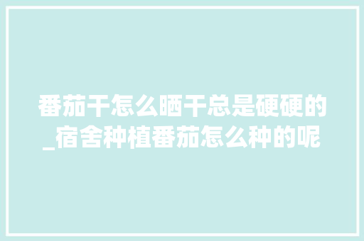 番茄干怎么晒干总是硬硬的_宿舍种植番茄怎么种的呢 番茄干怎么晒干总是硬硬的_宿舍种植番茄怎么种的呢 种植技巧