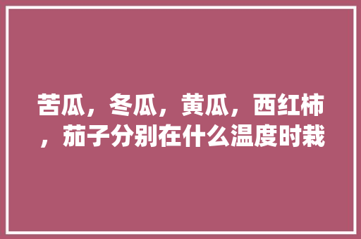 苦瓜，冬瓜，黄瓜，西红柿，茄子分别在什么温度时栽培_苦瓜怎么种植小番茄视频 苦瓜，冬瓜，黄瓜，西红柿，茄子分别在什么温度时栽培_苦瓜怎么种植小番茄视频 土壤施肥