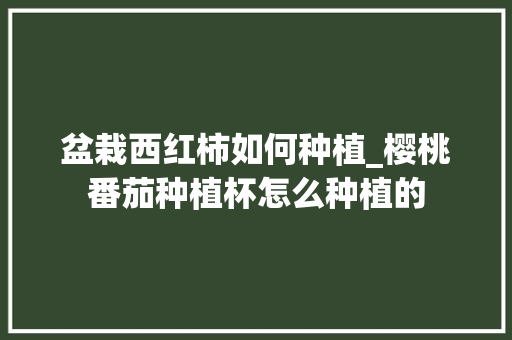 盆栽西红柿如何种植_樱桃番茄种植杯怎么种植的 盆栽西红柿如何种植_樱桃番茄种植杯怎么种植的 土壤施肥