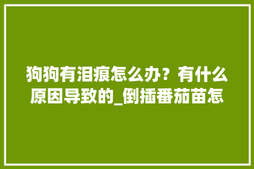 狗狗有泪痕怎么办？有什么原因导致的_倒插番茄苗怎么种植视频 狗狗有泪痕怎么办？有什么原因导致的_倒插番茄苗怎么种植视频 花朵知识