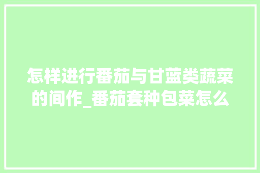 怎样进行番茄与甘蓝类蔬菜的间作_番茄套种包菜怎么种植视频 怎样进行番茄与甘蓝类蔬菜的间作_番茄套种包菜怎么种植视频 农业常识