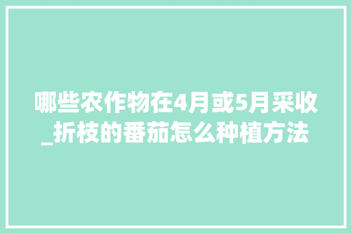 哪些农作物在4月或5月采收_折枝的番茄怎么种植方法视频 哪些农作物在4月或5月采收_折枝的番茄怎么种植方法视频 花朵知识