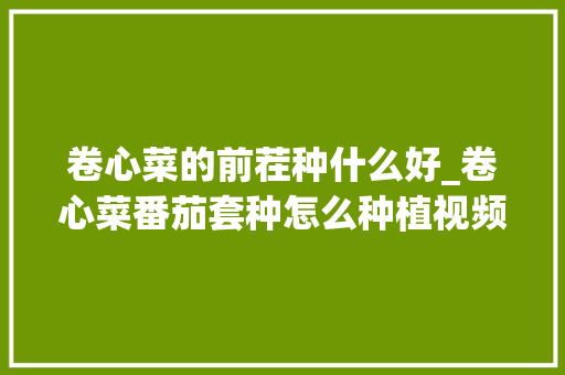 卷心菜的前茬种什么好_卷心菜番茄套种怎么种植视频