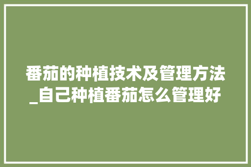 番茄的种植技术及管理方法_自己种植番茄怎么管理好 番茄的种植技术及管理方法_自己种植番茄怎么管理好 番茄种植技巧