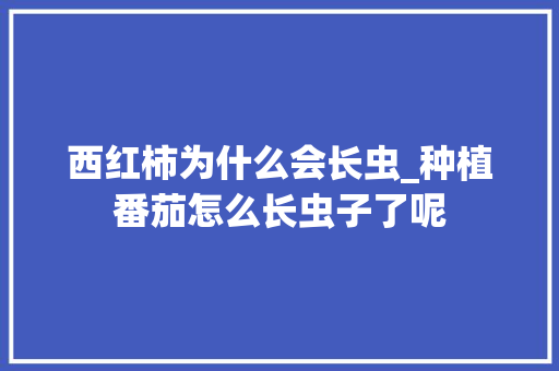 西红柿为什么会长虫_种植番茄怎么长虫子了呢